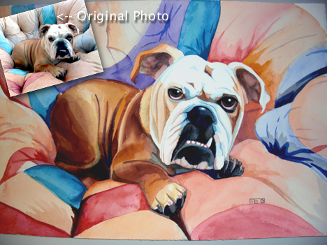 Bulldog Puppy