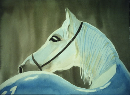 Horse Head