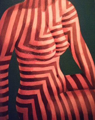 Orange Zebra