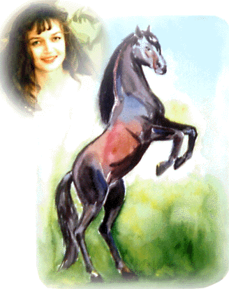 Elena and portrait of a horse Elena and portrait of a Stallion