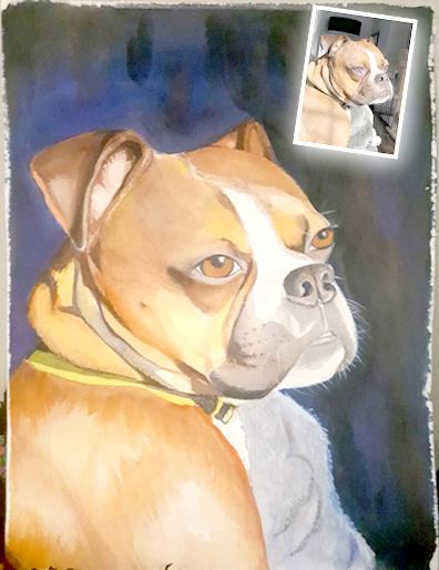Bailey Bulldog