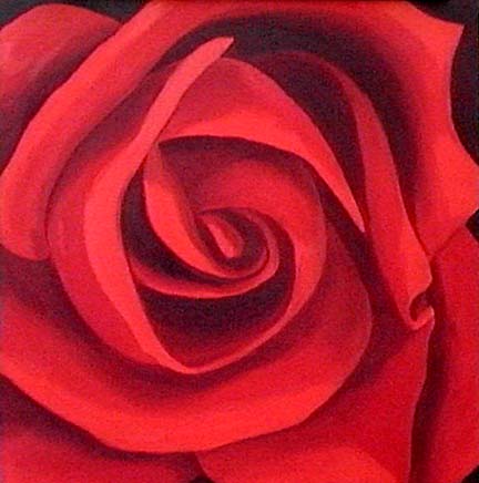 Red Rose
