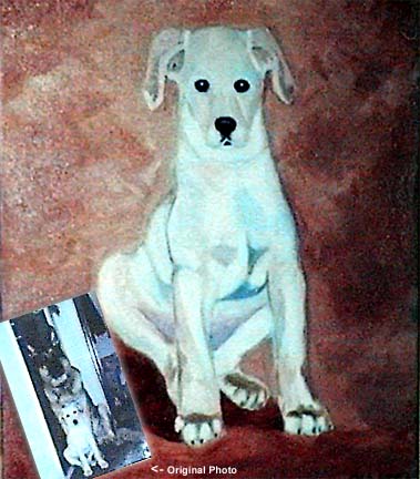 Dina's Puppy