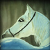 Horse's Head